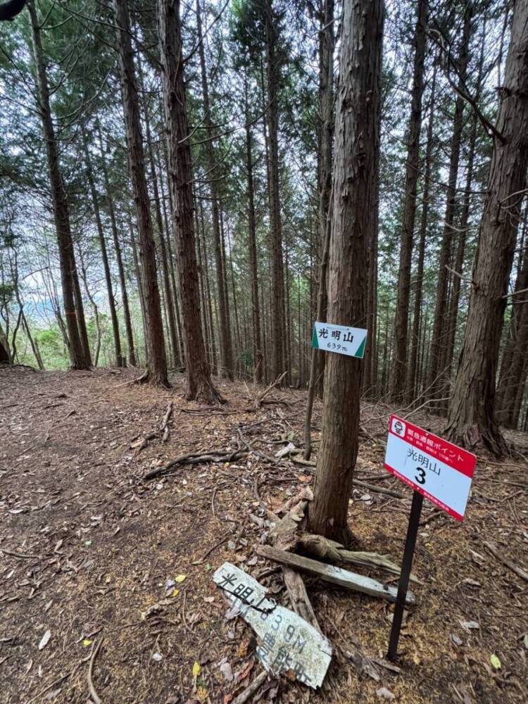 めっちゃ歩きやすい整備された登山道でハイキングが楽しめる『妙見山』