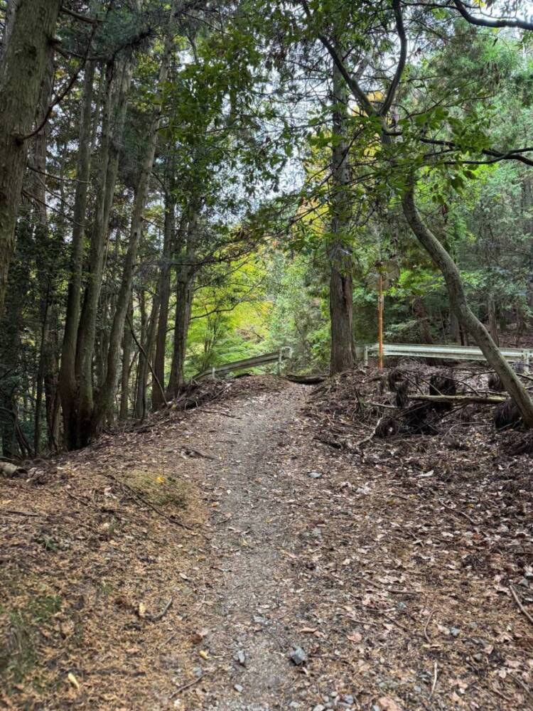 めっちゃ歩きやすい整備された登山道でハイキングが楽しめる『妙見山』