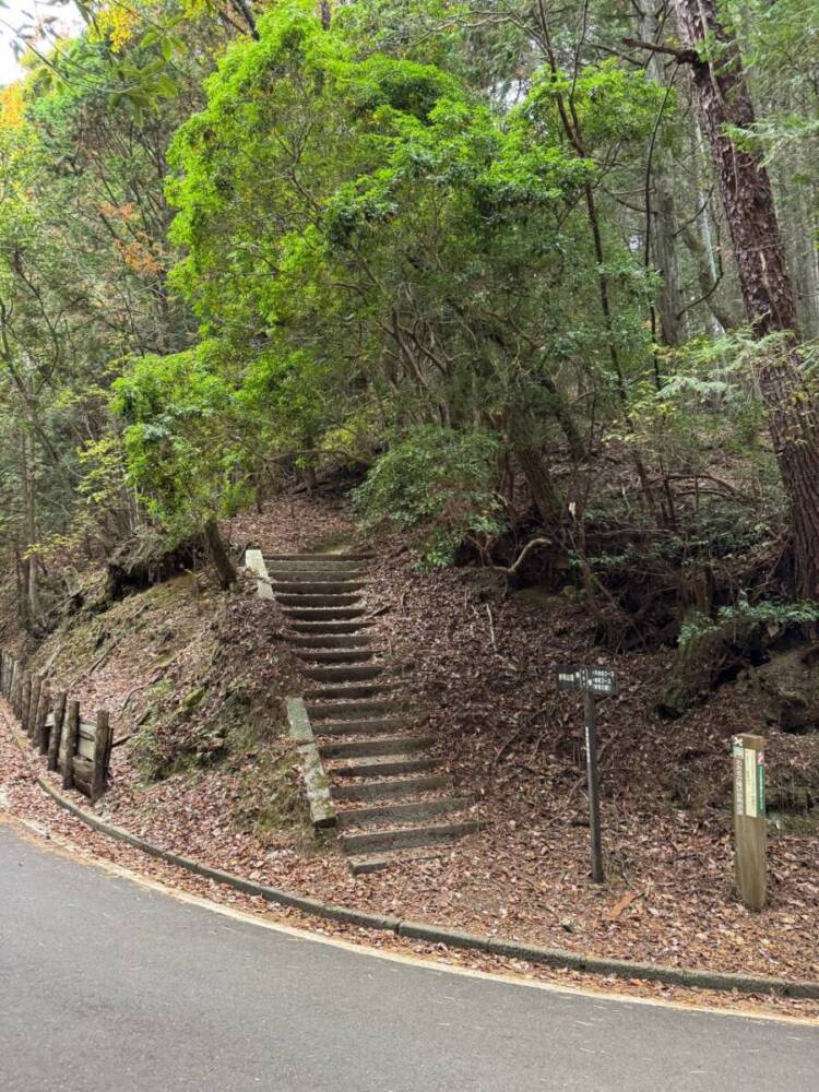 めっちゃ歩きやすい整備された登山道でハイキングが楽しめる『妙見山』