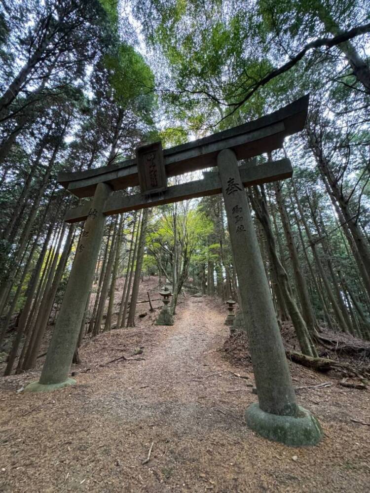 めっちゃ歩きやすい整備された登山道でハイキングが楽しめる『妙見山』