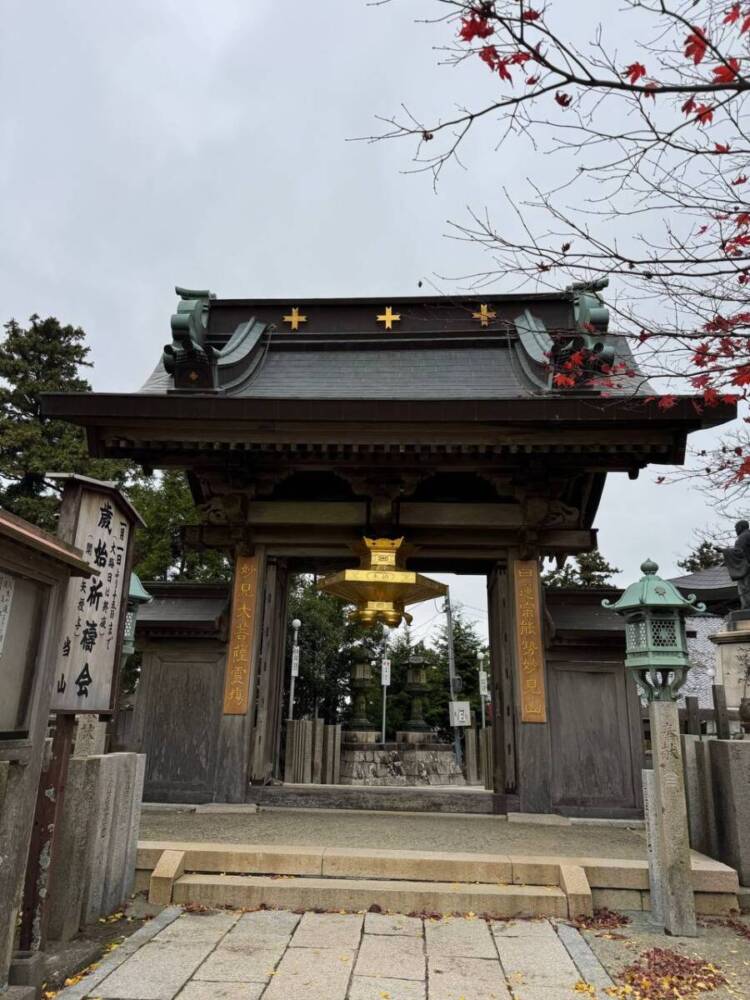 めっちゃ歩きやすい整備された登山道でハイキングが楽しめる『妙見山』