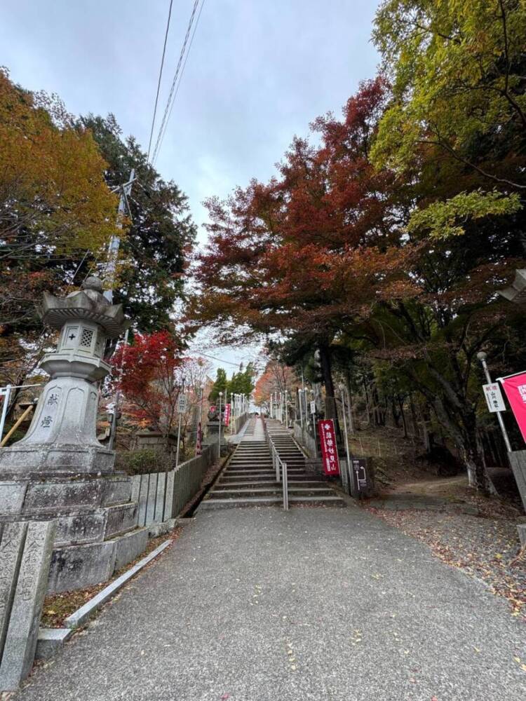 めっちゃ歩きやすい整備された登山道でハイキングが楽しめる『妙見山』