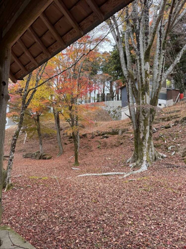 めっちゃ歩きやすい整備された登山道でハイキングが楽しめる『妙見山』