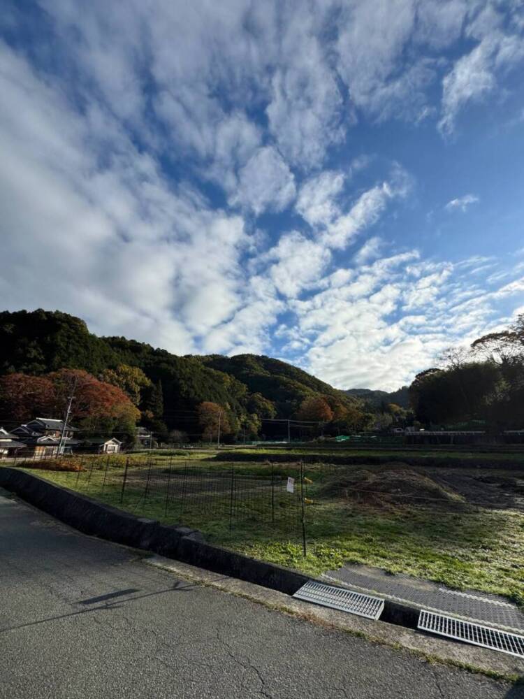 めっちゃ歩きやすい整備された登山道でハイキングが楽しめる『妙見山』