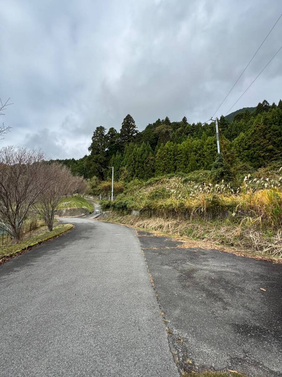 奈良県宇陀市の大和富士とも呼ばれる山容美しい山『額井岳』