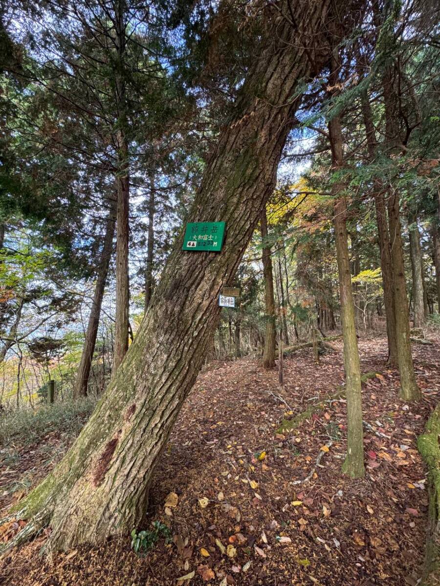 奈良県宇陀市の大和富士とも呼ばれる山容美しい山『額井岳』