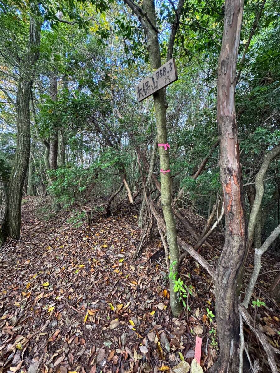 奈良県宇陀市の大和富士とも呼ばれる山容美しい山『額井岳』