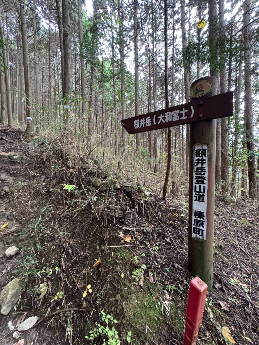 奈良県宇陀市の大和富士とも呼ばれる山容美しい山『額井岳』