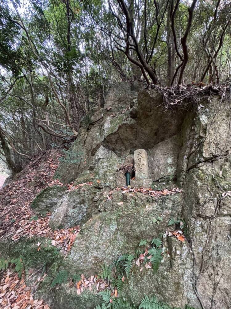 山頂からは須磨アルプスや淡路島が見える丹上山地の主峰「帝釈山」