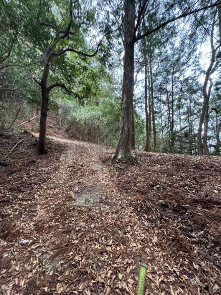 山頂からは須磨アルプスや淡路島が見える丹上山地の主峰「帝釈山」