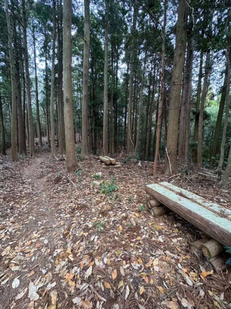 山頂からは須磨アルプスや淡路島が見える丹上山地の主峰「帝釈山」