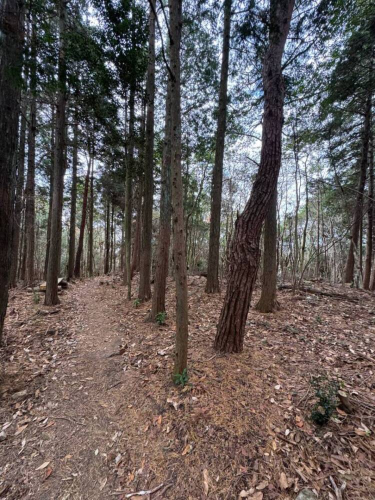 山頂からは須磨アルプスや淡路島が見える丹上山地の主峰「帝釈山」