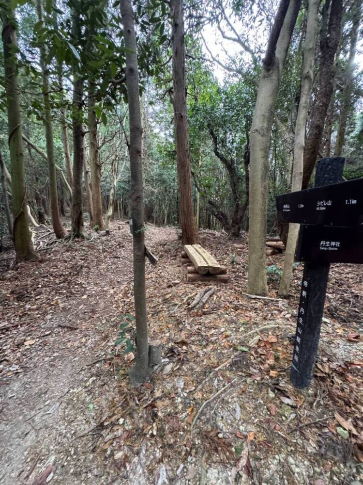 山頂からは須磨アルプスや淡路島が見える丹上山地の主峰「帝釈山」