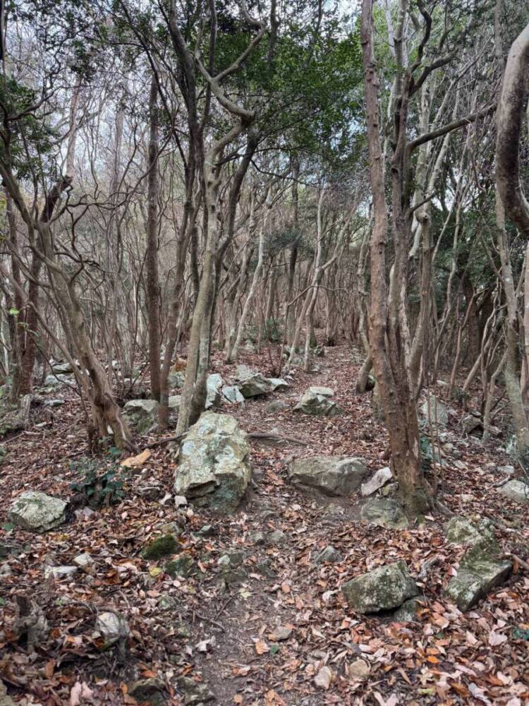 山頂からは須磨アルプスや淡路島が見える丹上山地の主峰「帝釈山」