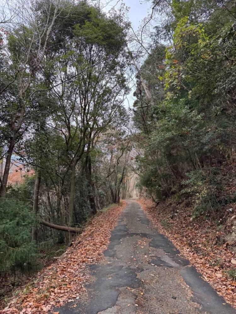 山頂からは須磨アルプスや淡路島が見える丹上山地の主峰「帝釈山」