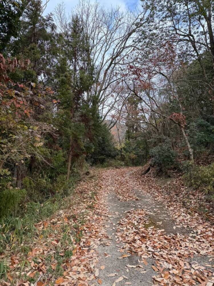 山頂からは須磨アルプスや淡路島が見える丹上山地の主峰「帝釈山」