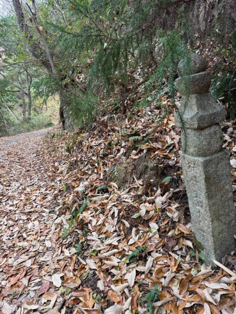 山頂からは須磨アルプスや淡路島が見える丹上山地の主峰「帝釈山」