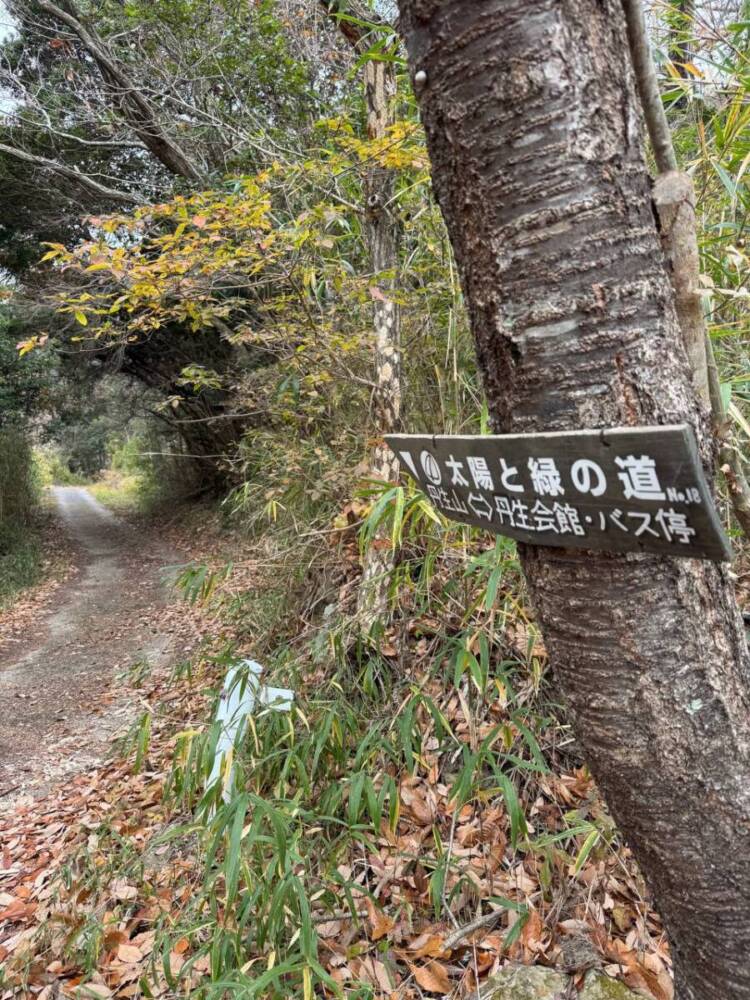 山頂からは須磨アルプスや淡路島が見える丹上山地の主峰「帝釈山」