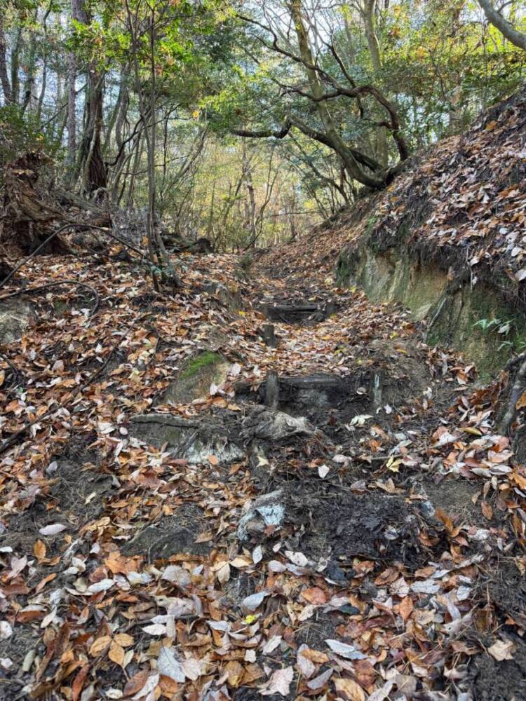 琵琶湖の南側、湖南アルプスの不動寺の霊峰「太神山」に登ってきました