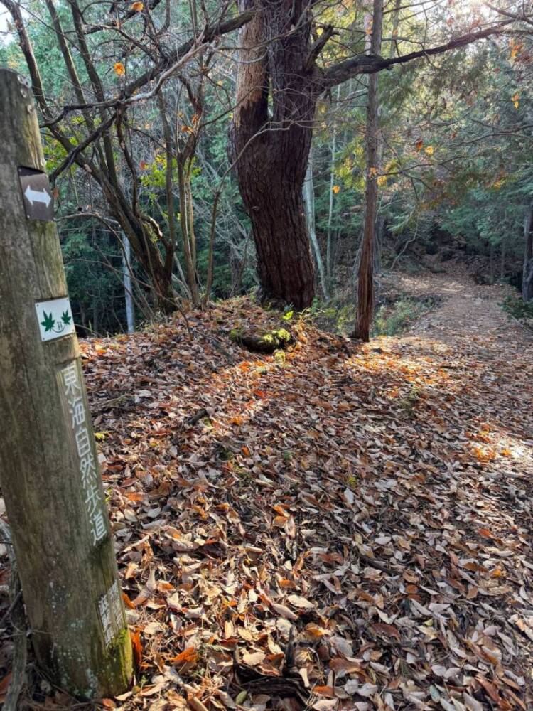 琵琶湖の南側、湖南アルプスの不動寺の霊峰「太神山」に登ってきました