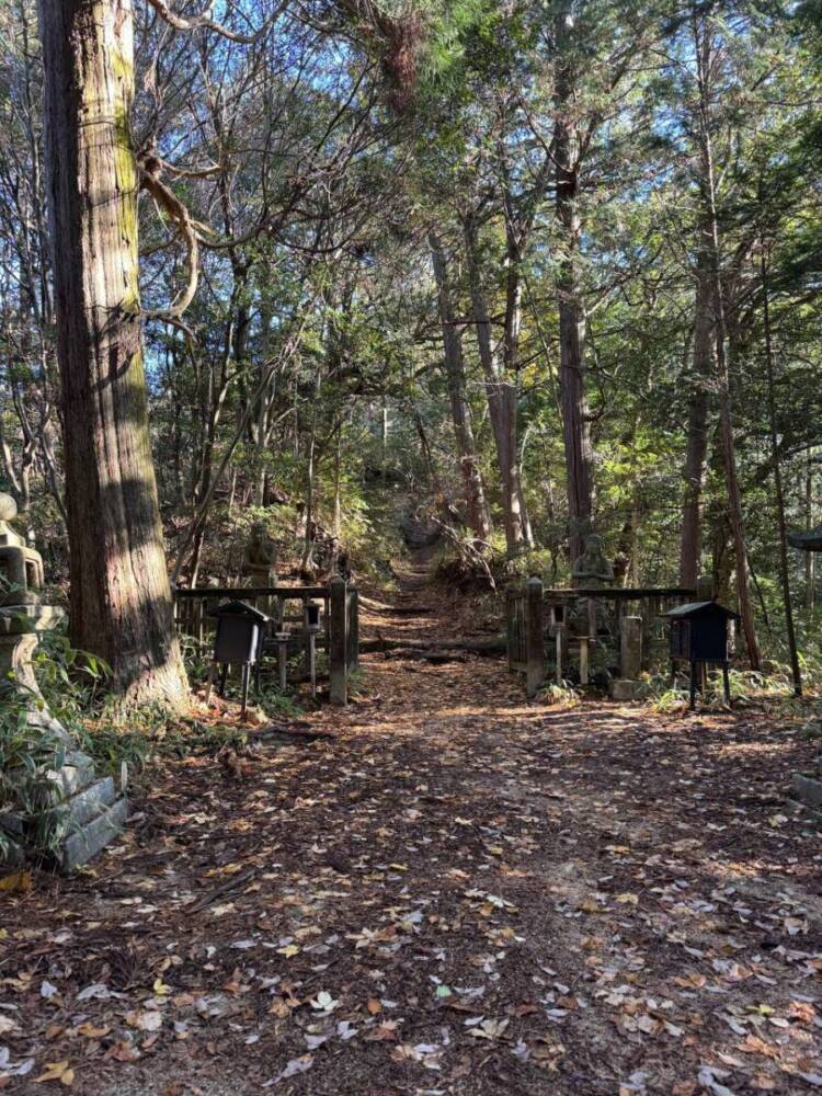 琵琶湖の南側、湖南アルプスの不動寺の霊峰「太神山」に登ってきました