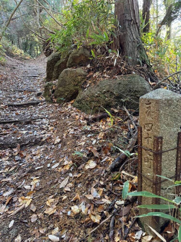 琵琶湖の南側、湖南アルプスの不動寺の霊峰「太神山」に登ってきました