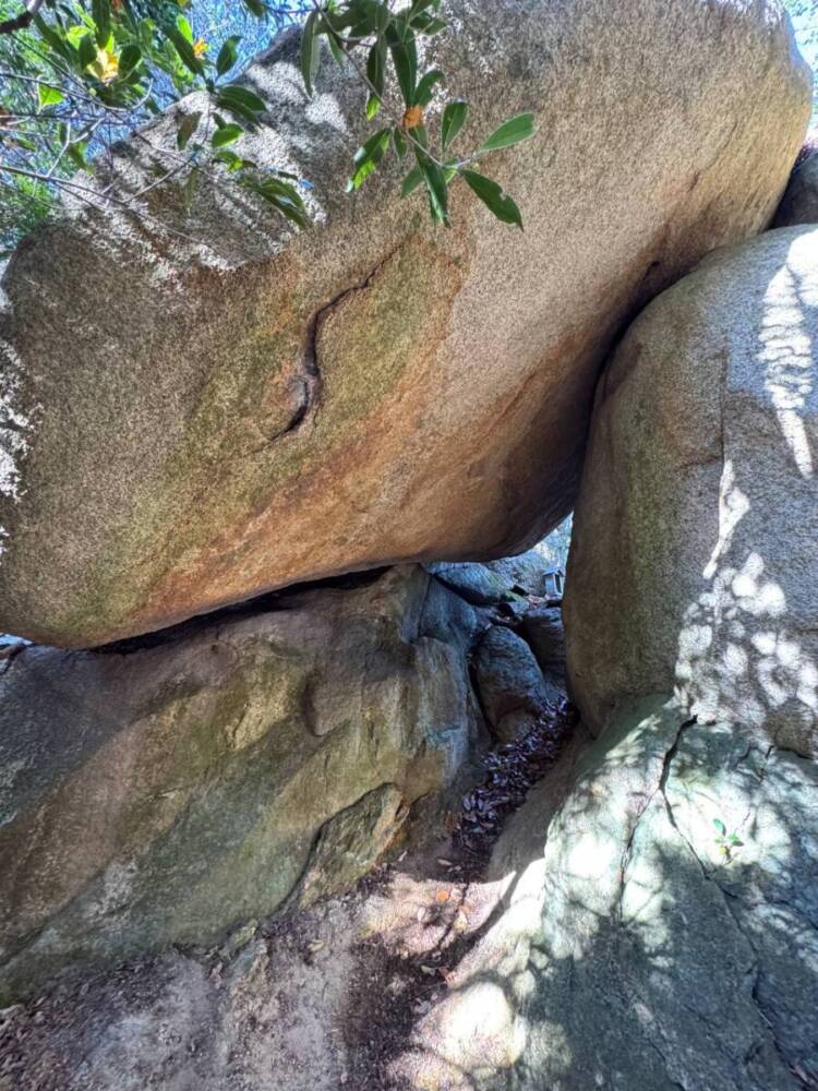 琵琶湖の南側、湖南アルプスの不動寺の霊峰「太神山」に登ってきました