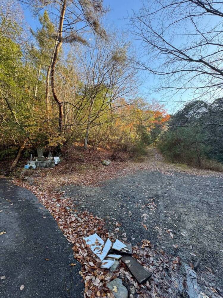 琵琶湖の南側、湖南アルプスの不動寺の霊峰「太神山」に登ってきました