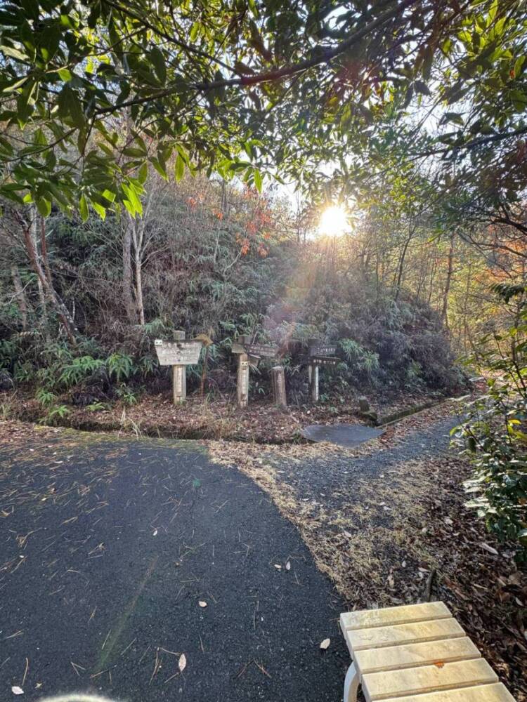 琵琶湖の南側、湖南アルプスの不動寺の霊峰「太神山」に登ってきました