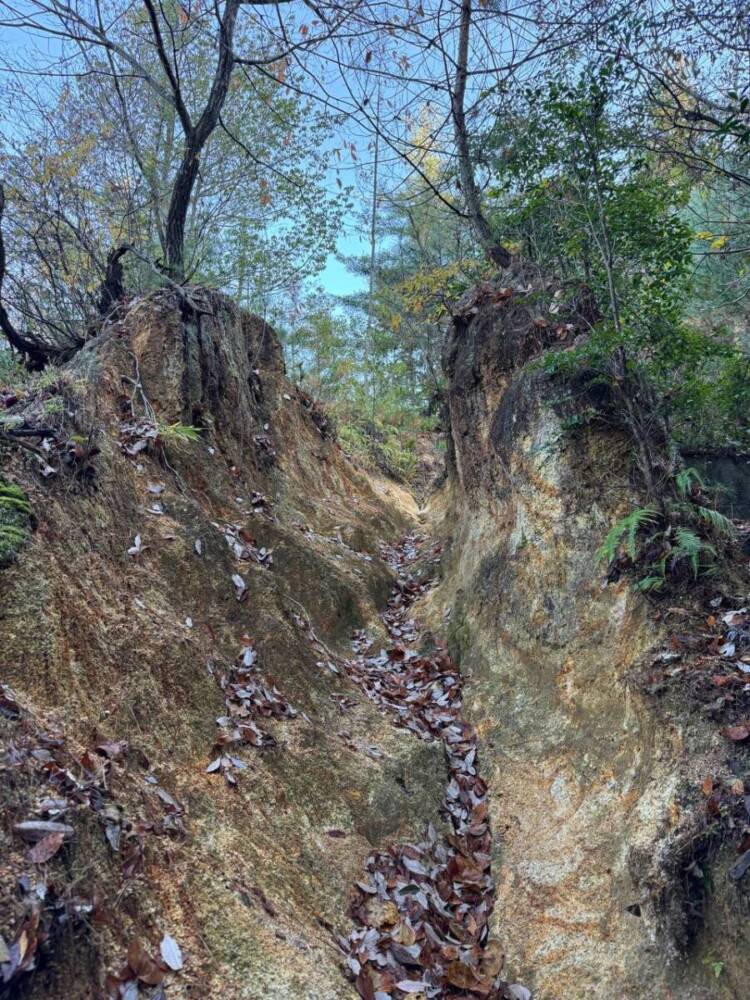 琵琶湖の南側、湖南アルプスの不動寺の霊峰「太神山」に登ってきました