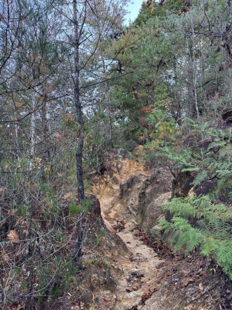 琵琶湖の南側、湖南アルプスの不動寺の霊峰「太神山」に登ってきました