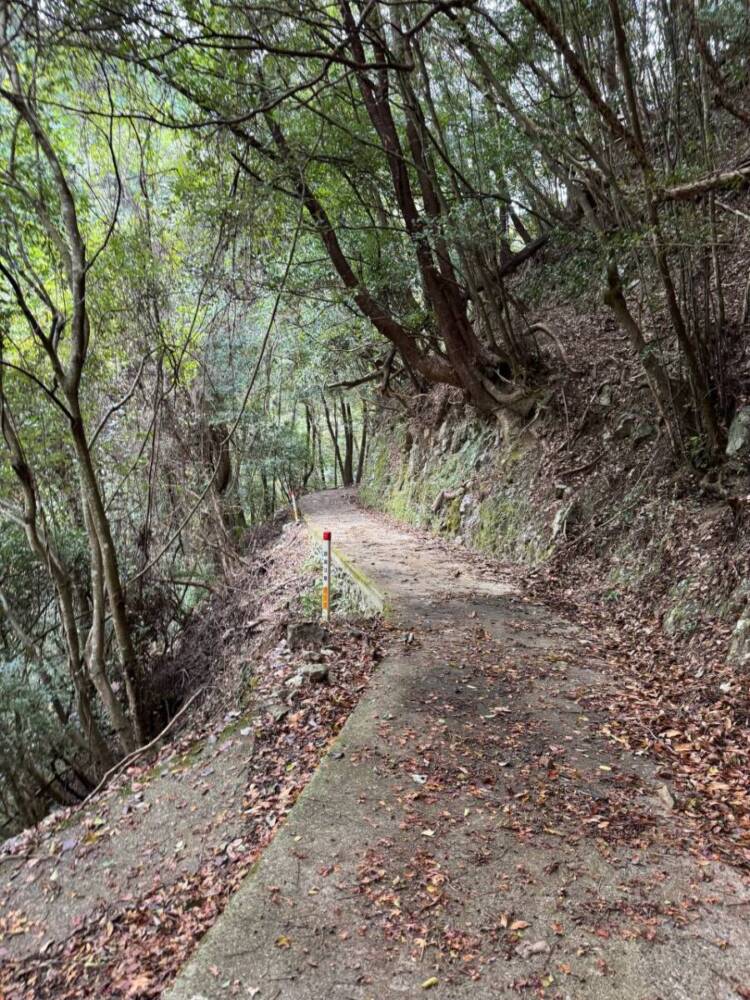 周囲は山々に囲まれ山深く、とにかく水が美しい和歌山の「矢筈岳」