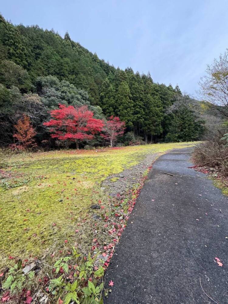 周囲は山々に囲まれ山深く、とにかく水が美しい和歌山の「矢筈岳」