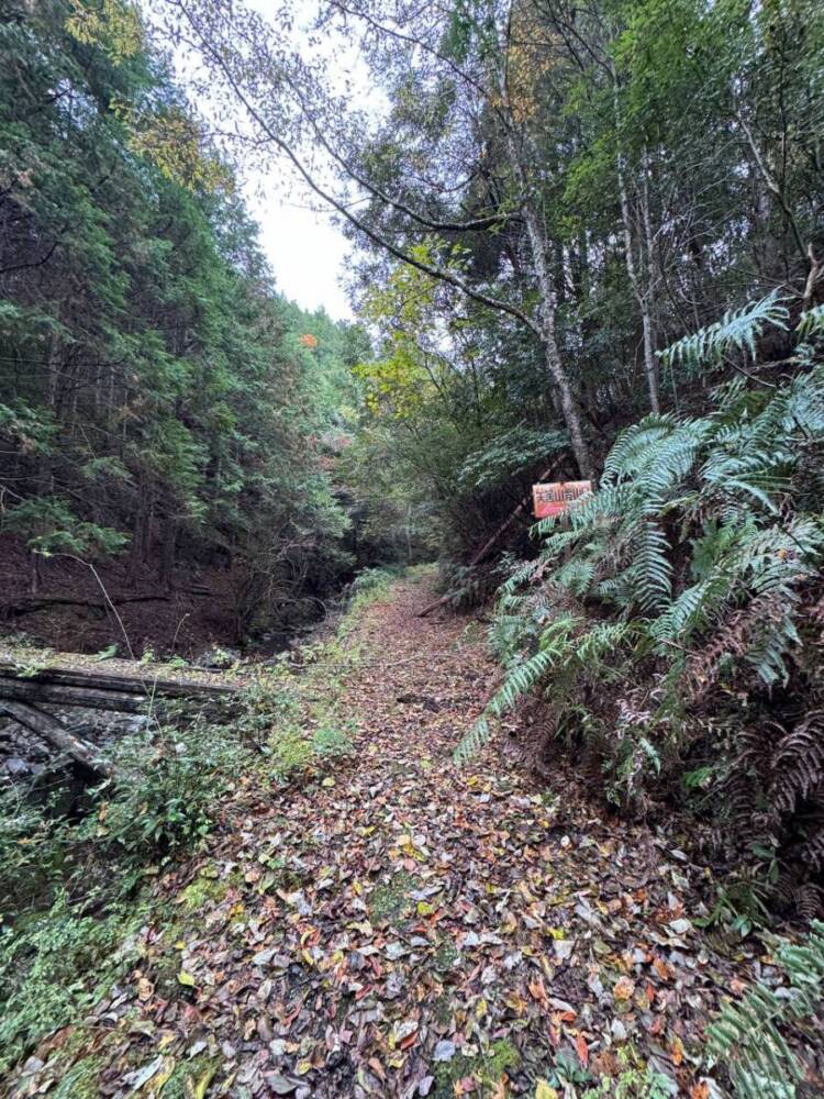 周囲は山々に囲まれ山深く、とにかく水が美しい和歌山の「矢筈岳」