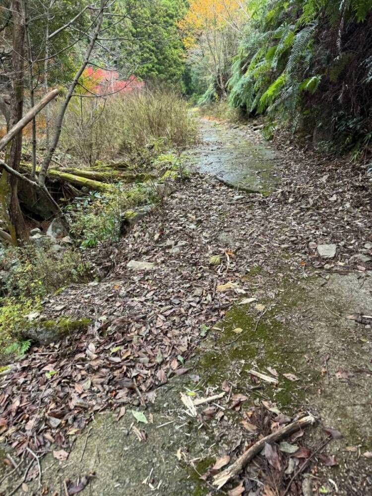 周囲は山々に囲まれ山深く、とにかく水が美しい和歌山の「矢筈岳」