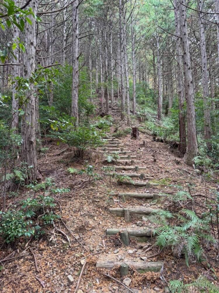 周囲は山々に囲まれ山深く、とにかく水が美しい和歌山の「矢筈岳」