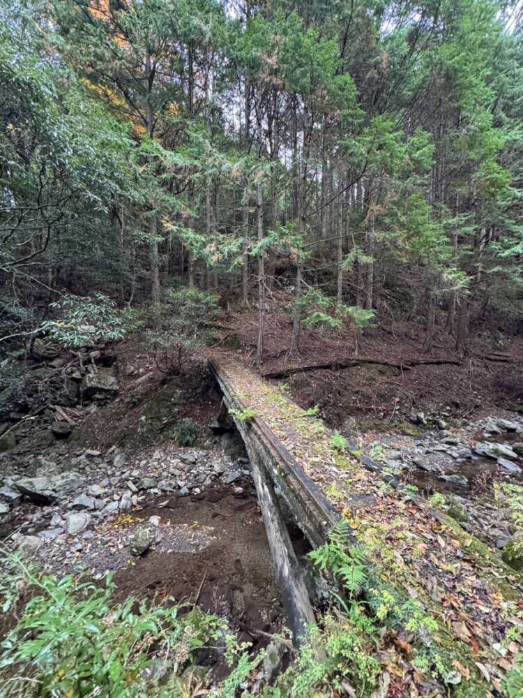 周囲は山々に囲まれ山深く、とにかく水が美しい和歌山の「矢筈岳」