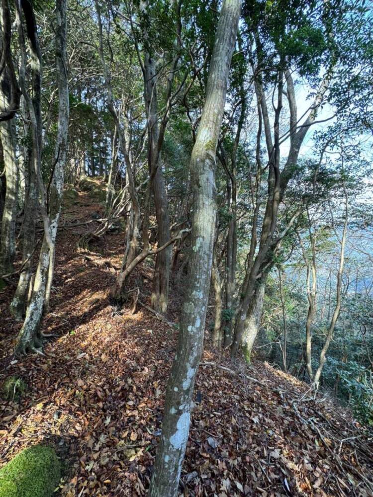 周囲は山々に囲まれ山深く、とにかく水が美しい和歌山の「矢筈岳」