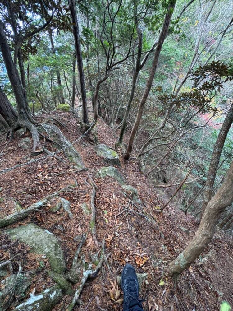 周囲は山々に囲まれ山深く、とにかく水が美しい和歌山の「矢筈岳」