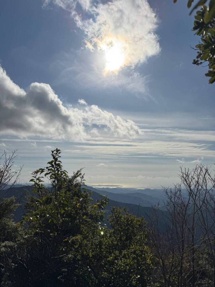 周囲は山々に囲まれ山深く、とにかく水が美しい和歌山の「矢筈岳」