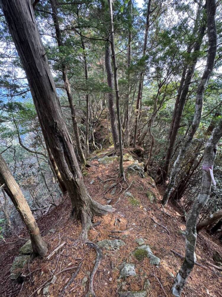 周囲は山々に囲まれ山深く、とにかく水が美しい和歌山の「矢筈岳」