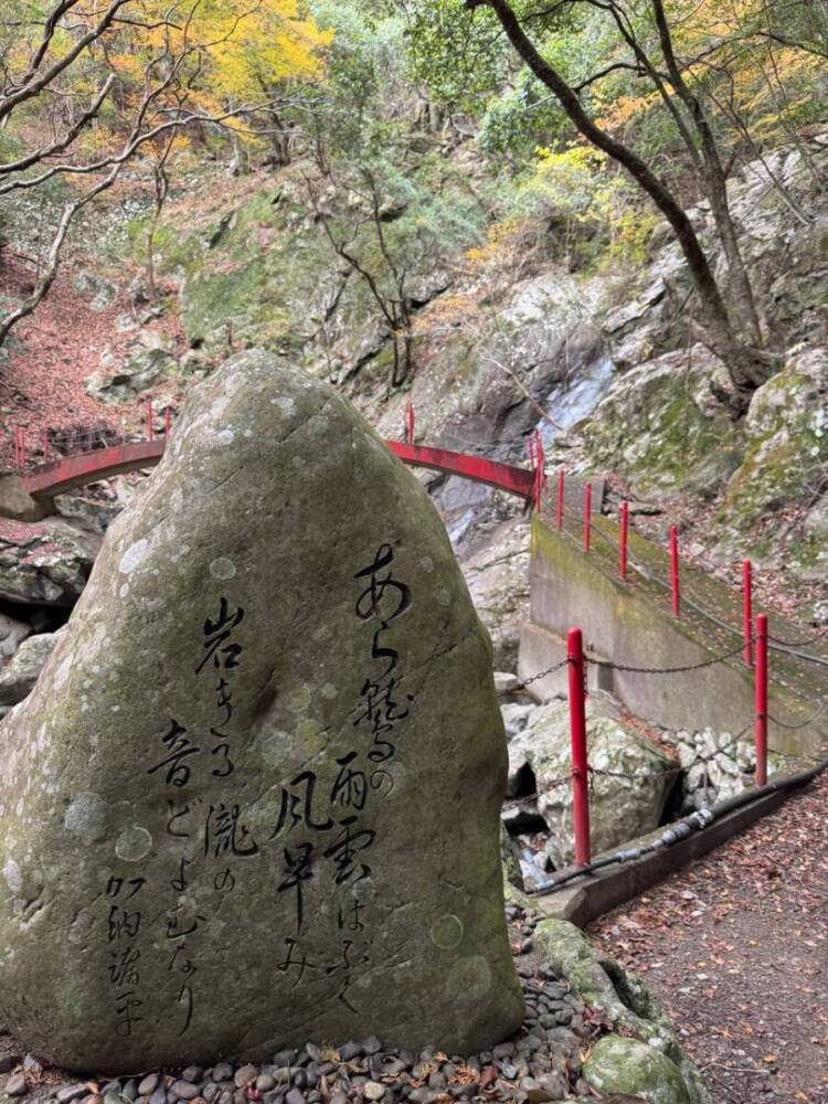 周囲は山々に囲まれ山深く、とにかく水が美しい和歌山の「矢筈岳」