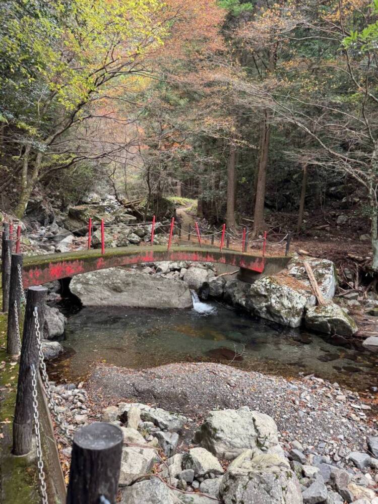 周囲は山々に囲まれ山深く、とにかく水が美しい和歌山の「矢筈岳」