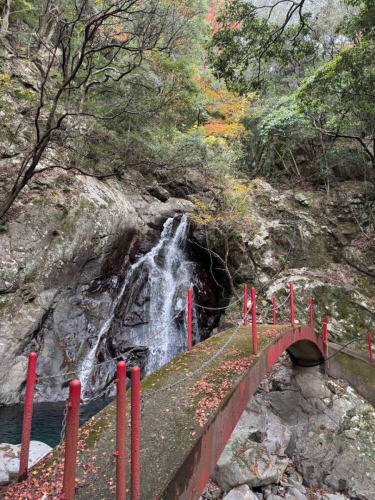 周囲は山々に囲まれ山深く、とにかく水が美しい和歌山の「矢筈岳」