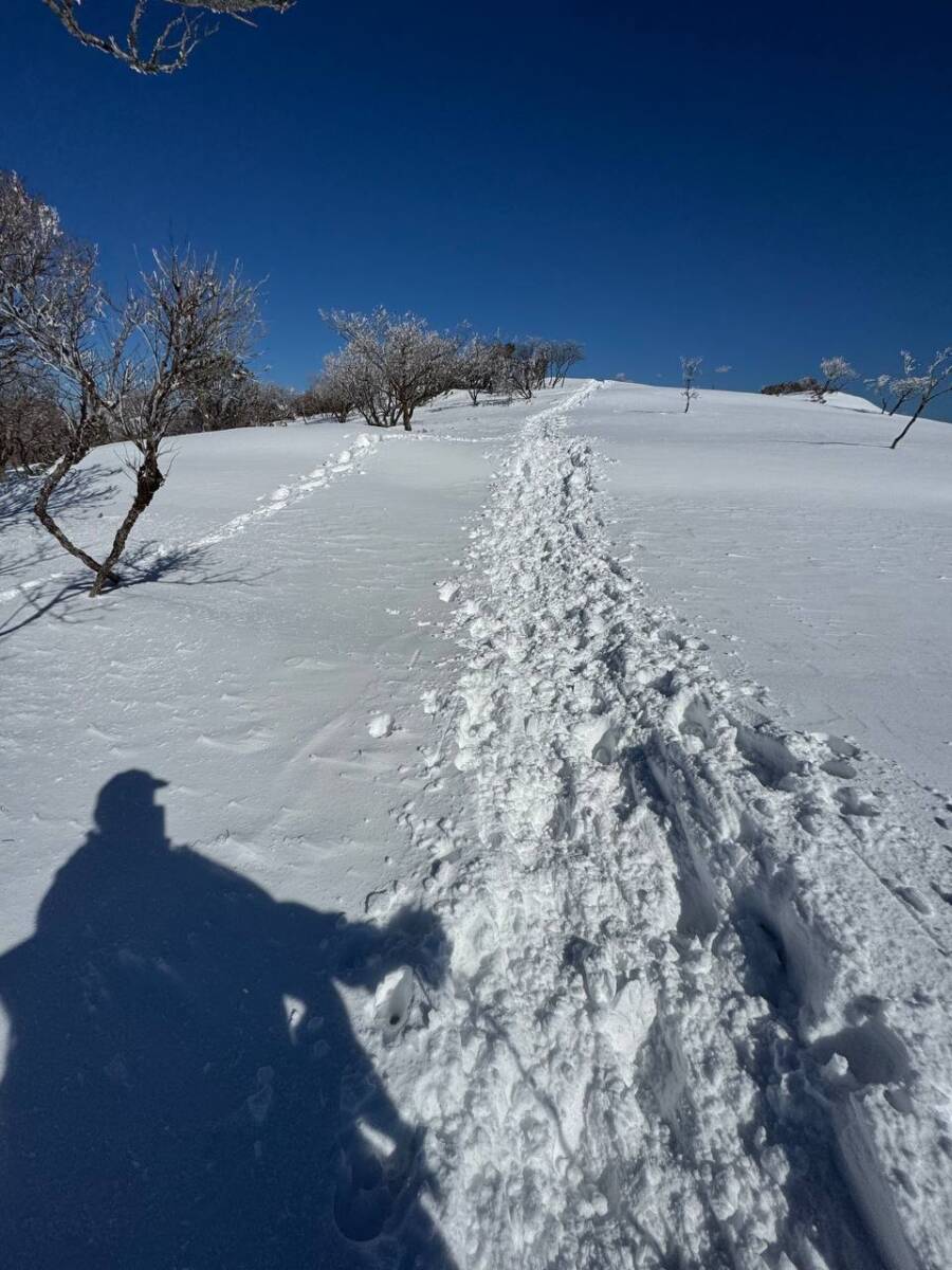 琵琶湖を眺めながら絶景スノーハイクができる『蓬莱山』