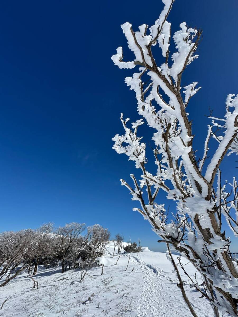 琵琶湖を眺めながら絶景スノーハイクができる『蓬莱山』