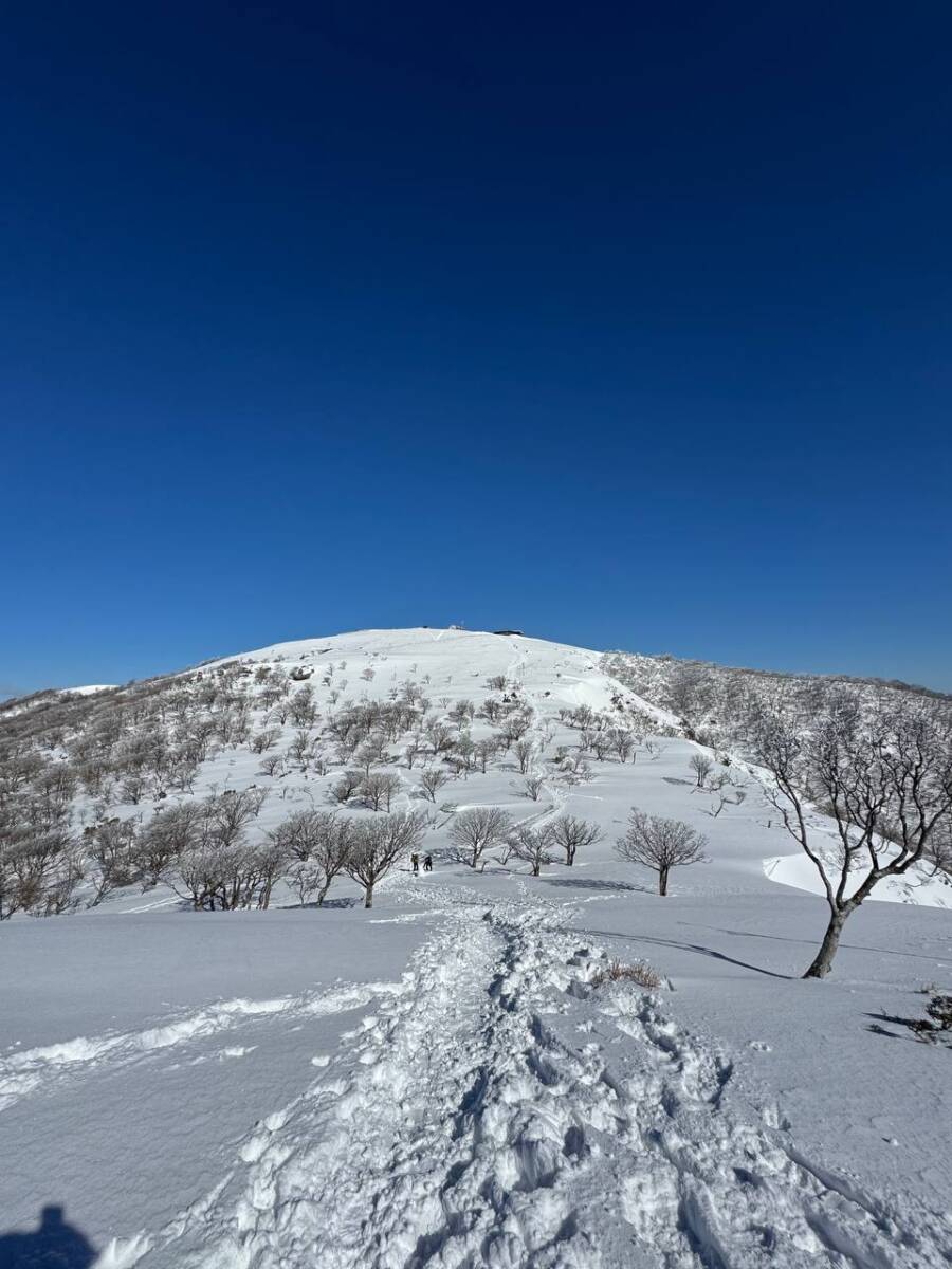 琵琶湖を眺めながら絶景スノーハイクができる『蓬莱山』