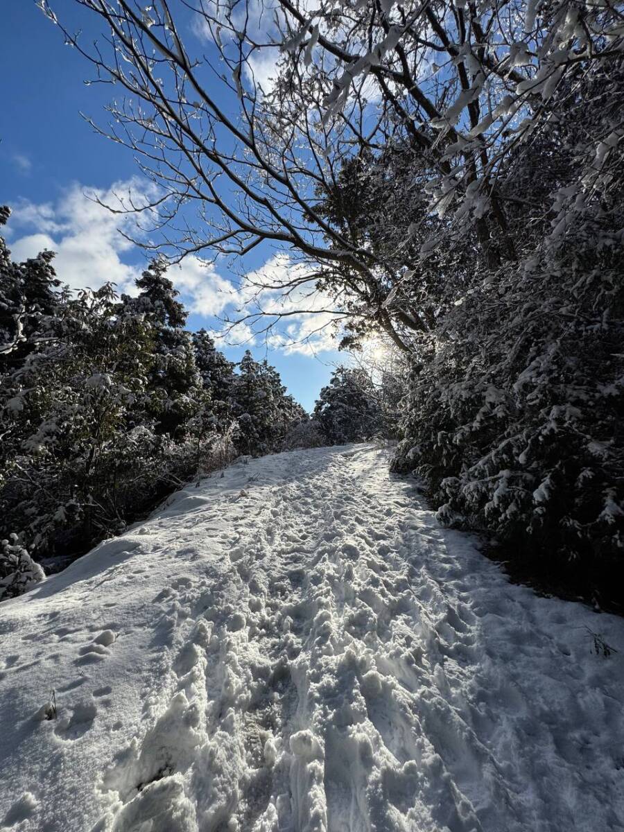 琵琶湖を眺めながら絶景スノーハイクができる『蓬莱山』