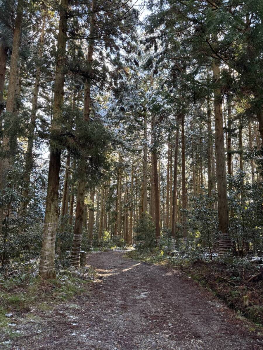 琵琶湖を眺めながら絶景スノーハイクができる『蓬莱山』