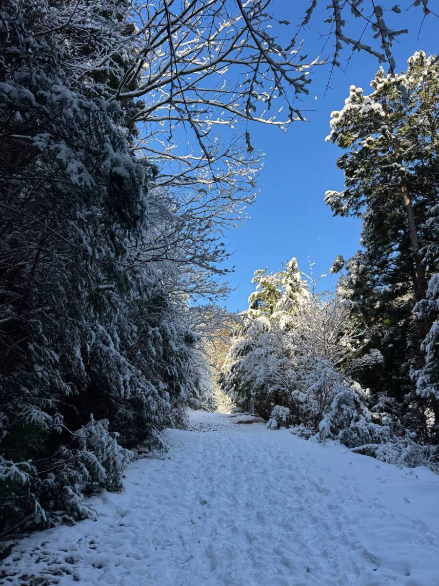 琵琶湖を眺めながら絶景スノーハイクができる『蓬莱山』